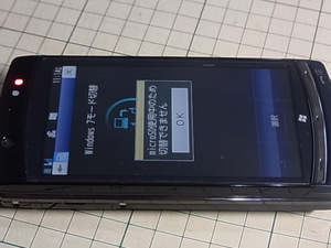 20111117-11.JPG